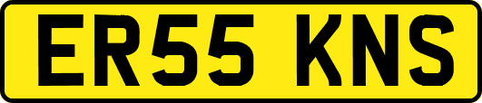 ER55KNS