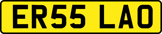 ER55LAO