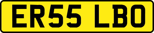 ER55LBO