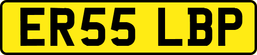 ER55LBP