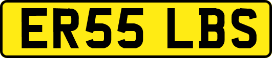 ER55LBS