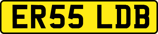 ER55LDB