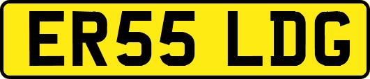 ER55LDG