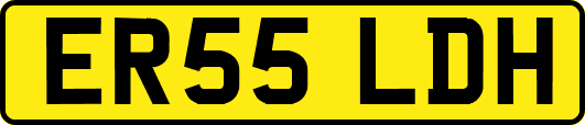 ER55LDH