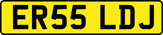 ER55LDJ