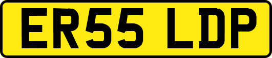 ER55LDP