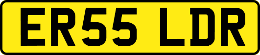ER55LDR
