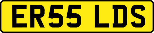 ER55LDS