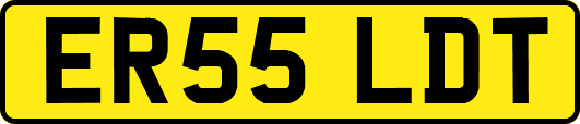 ER55LDT