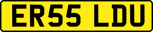 ER55LDU