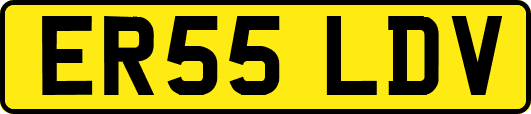 ER55LDV