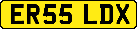 ER55LDX