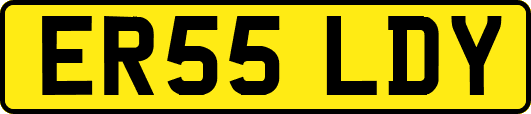 ER55LDY