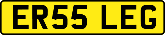 ER55LEG
