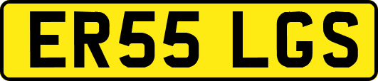 ER55LGS