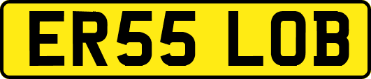 ER55LOB