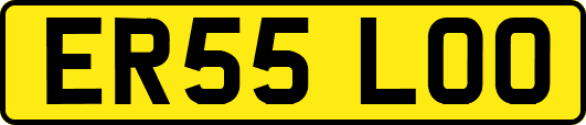ER55LOO