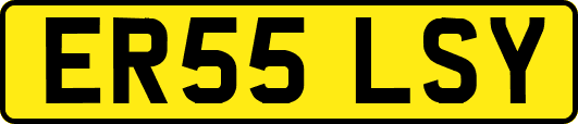 ER55LSY