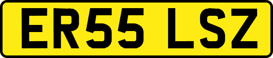 ER55LSZ