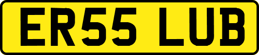 ER55LUB