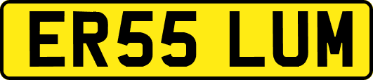 ER55LUM