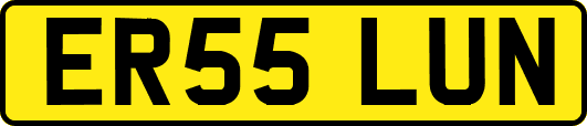 ER55LUN