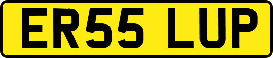 ER55LUP
