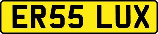 ER55LUX