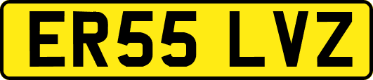ER55LVZ