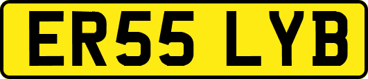 ER55LYB