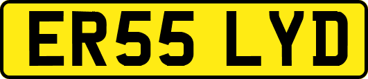 ER55LYD