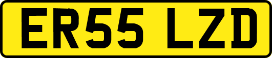 ER55LZD