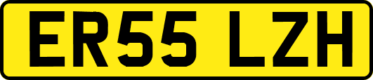 ER55LZH