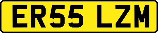 ER55LZM