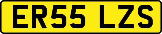 ER55LZS