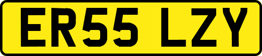 ER55LZY