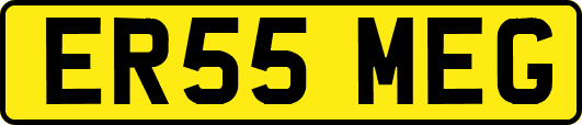 ER55MEG