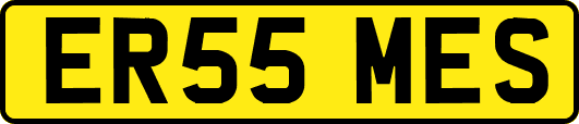 ER55MES