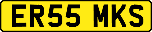 ER55MKS