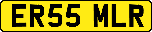 ER55MLR
