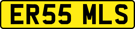 ER55MLS