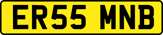 ER55MNB
