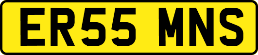 ER55MNS
