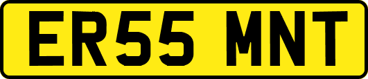 ER55MNT