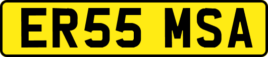 ER55MSA