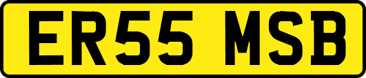 ER55MSB