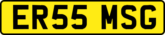 ER55MSG