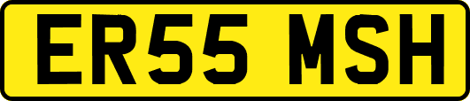 ER55MSH
