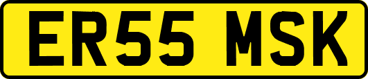 ER55MSK