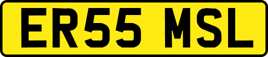 ER55MSL